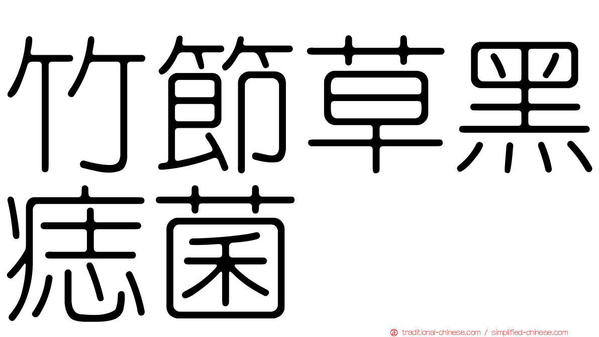 竹節草黑痣菌