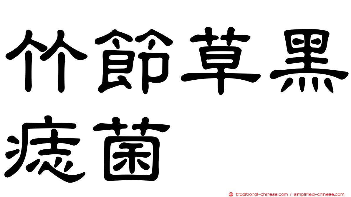 竹節草黑痣菌
