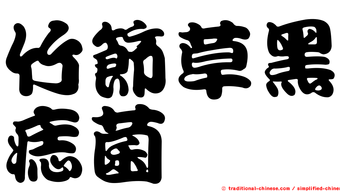 竹節草黑痣菌