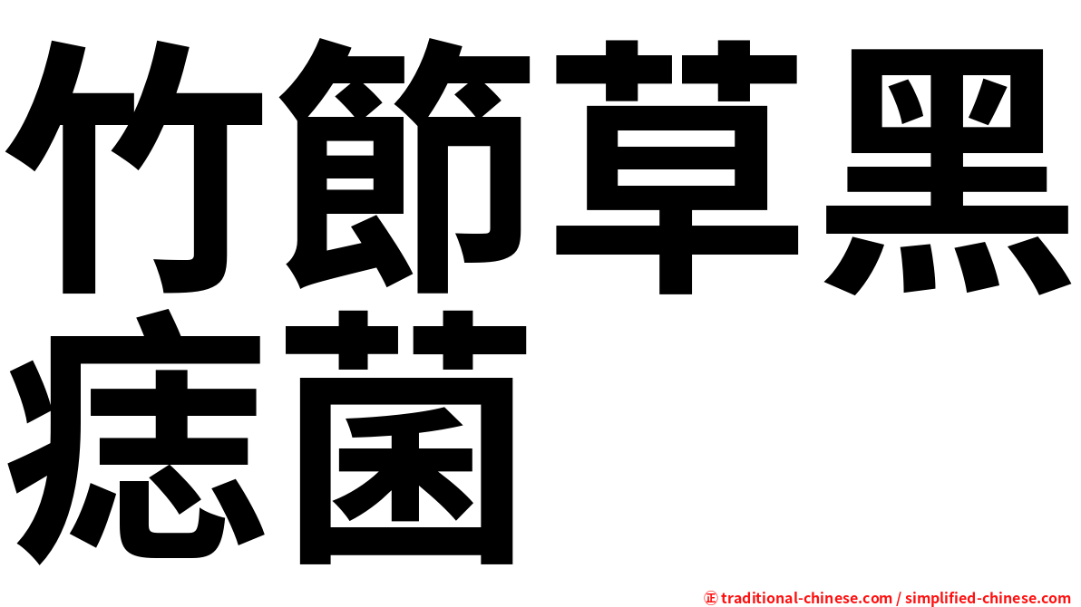 竹節草黑痣菌
