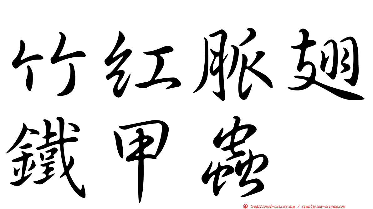 竹紅脈翅鐵甲蟲