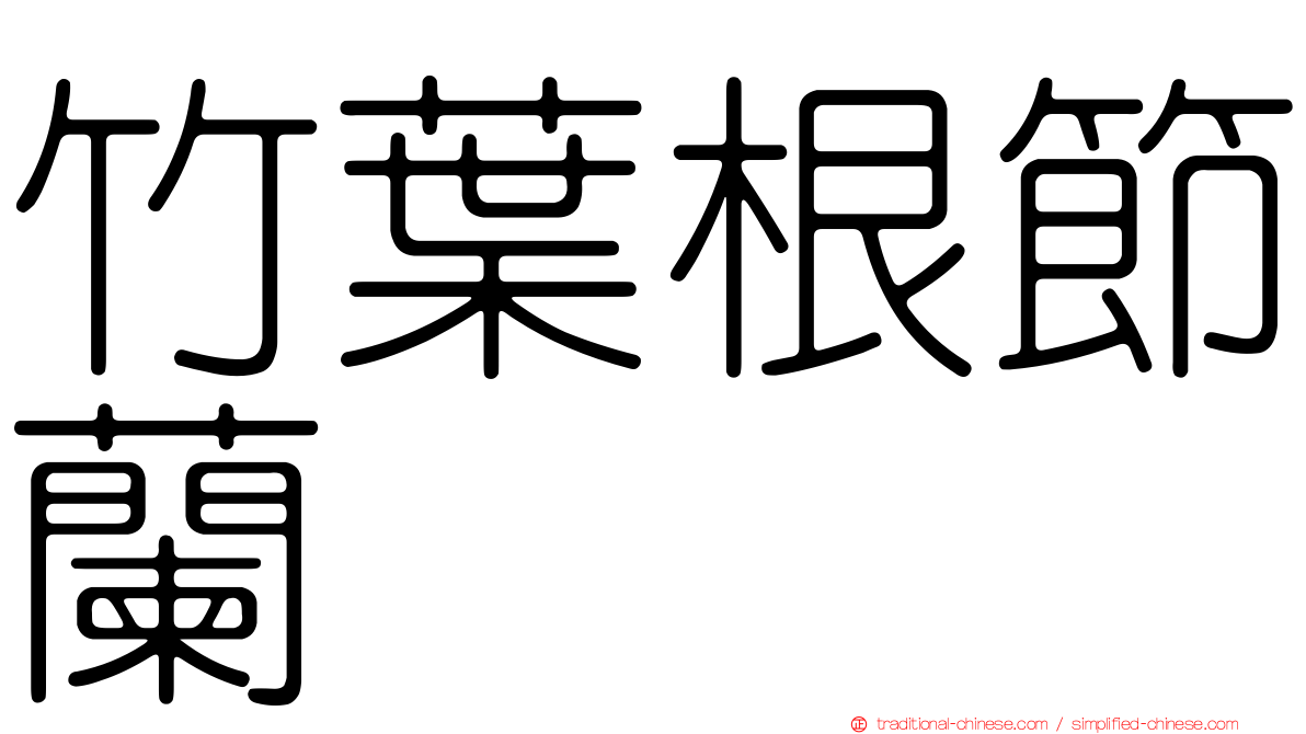 竹葉根節蘭