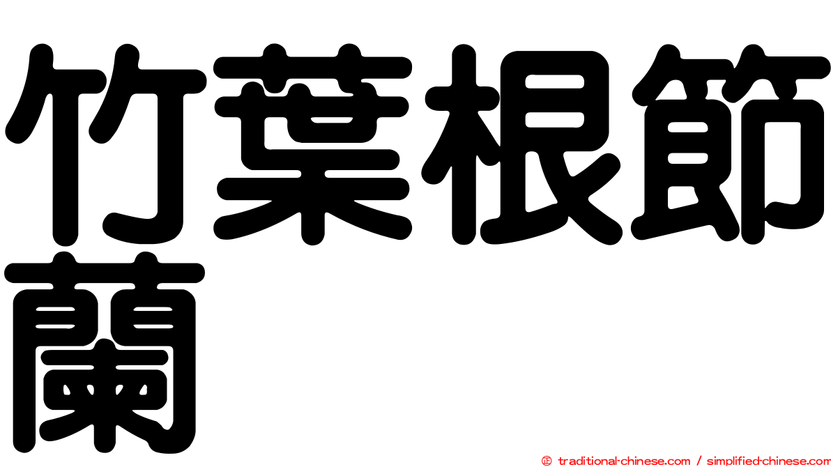 竹葉根節蘭