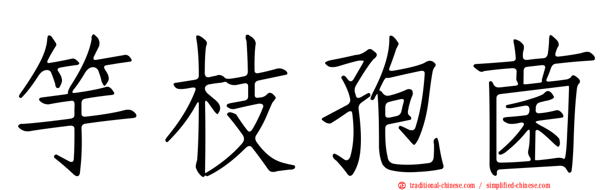 竽枝孢菌