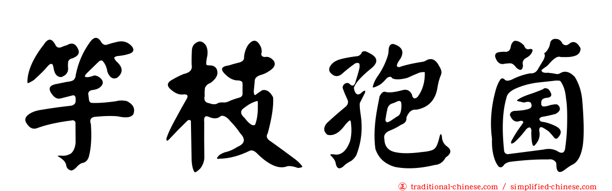竽枝孢菌