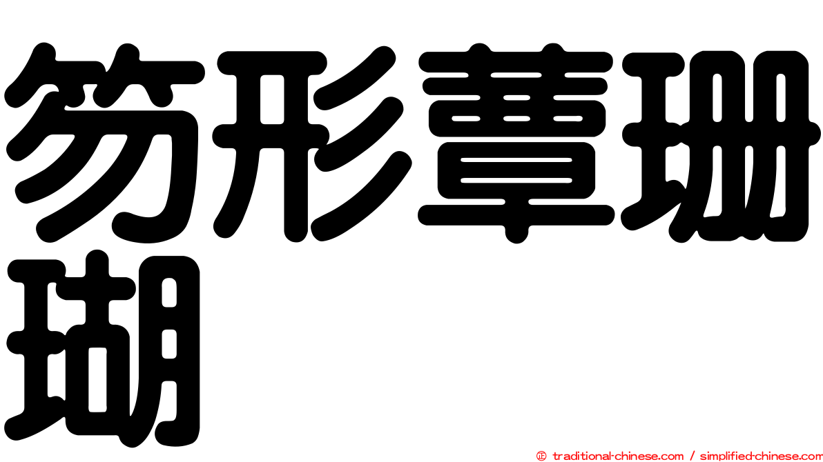 笏形蕈珊瑚