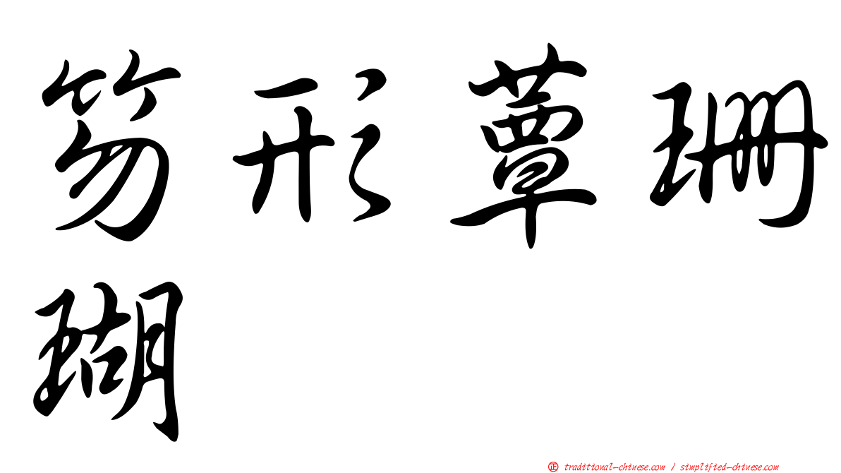 笏形蕈珊瑚
