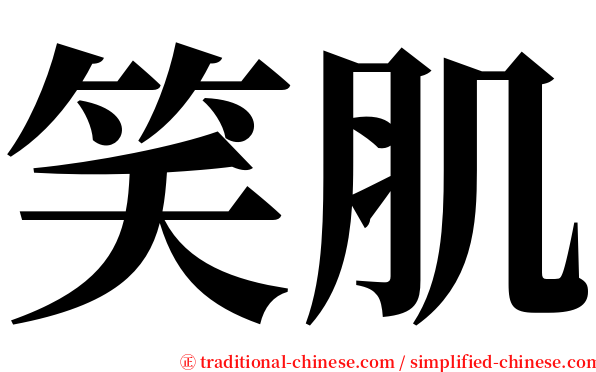 笑肌 serif font