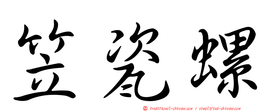 笠瓷螺