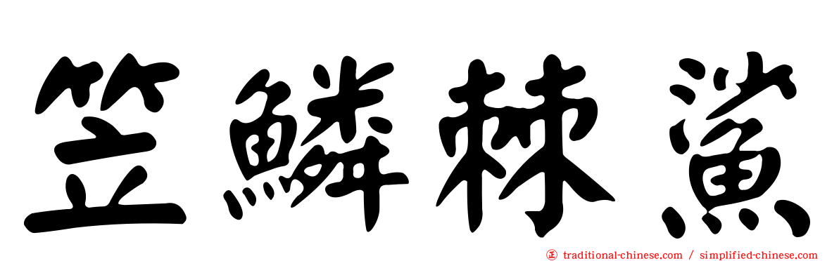 笠鱗棘鯊