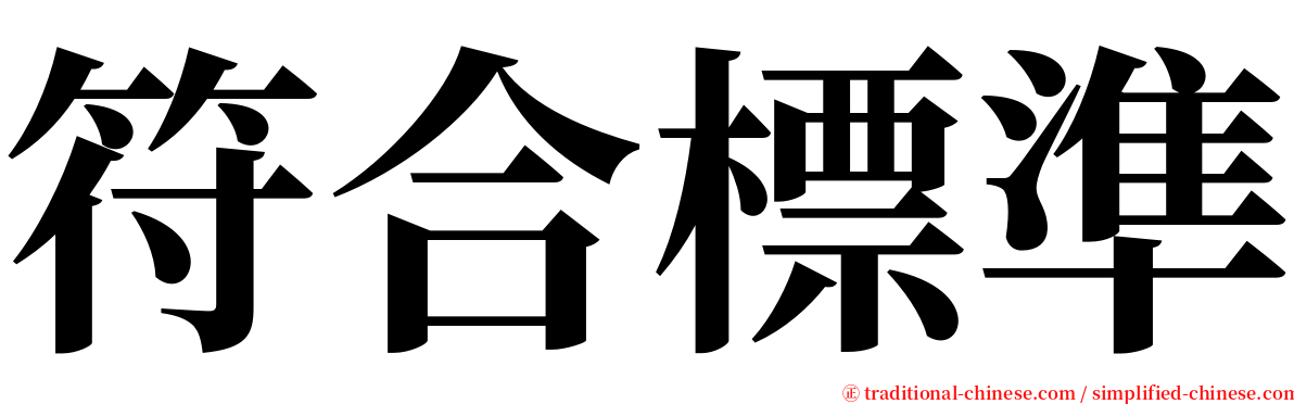 符合標準 serif font