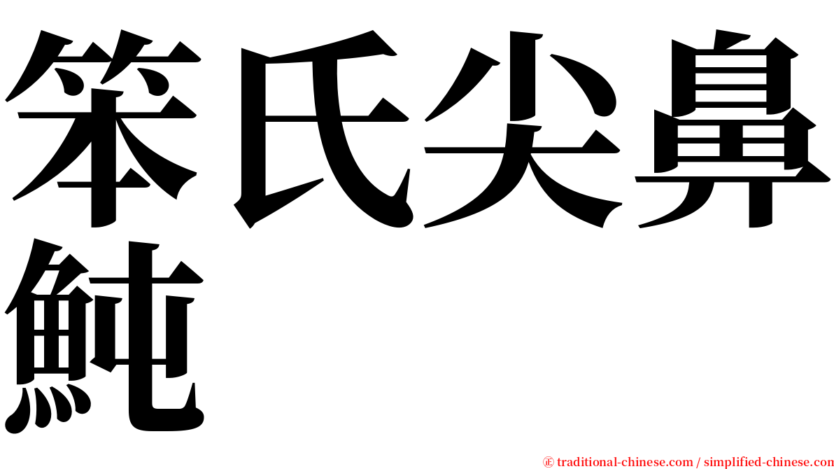 笨氏尖鼻魨 serif font