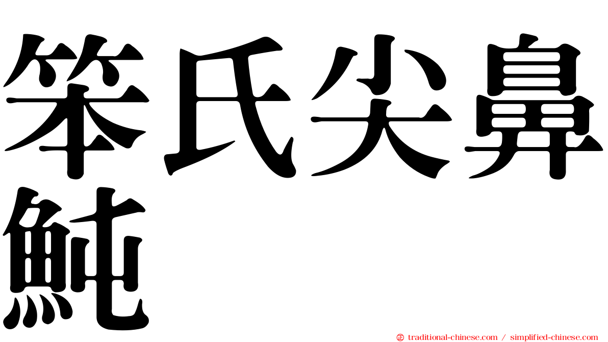 笨氏尖鼻魨