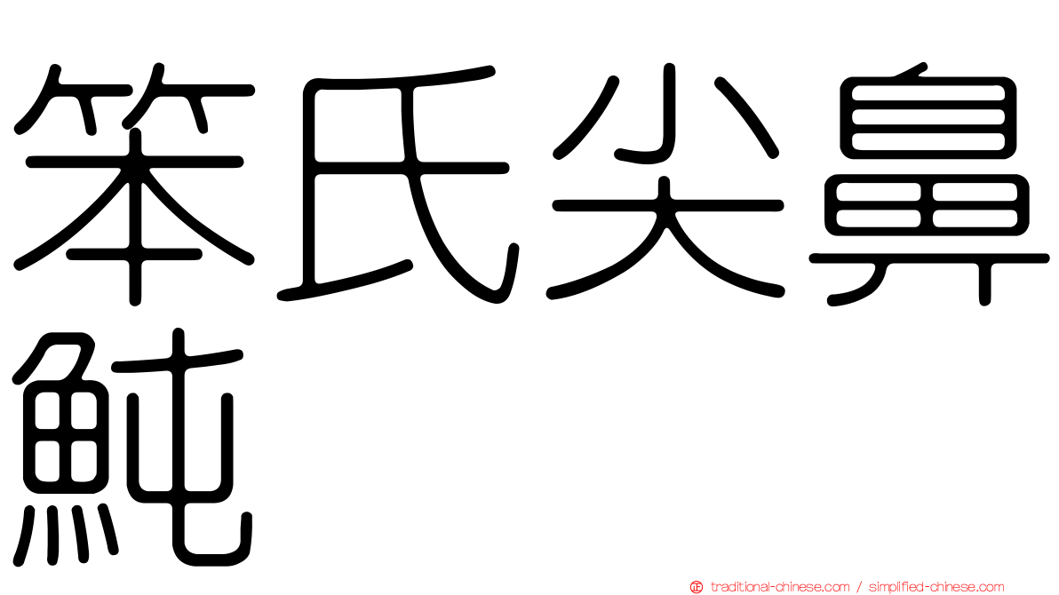 笨氏尖鼻魨