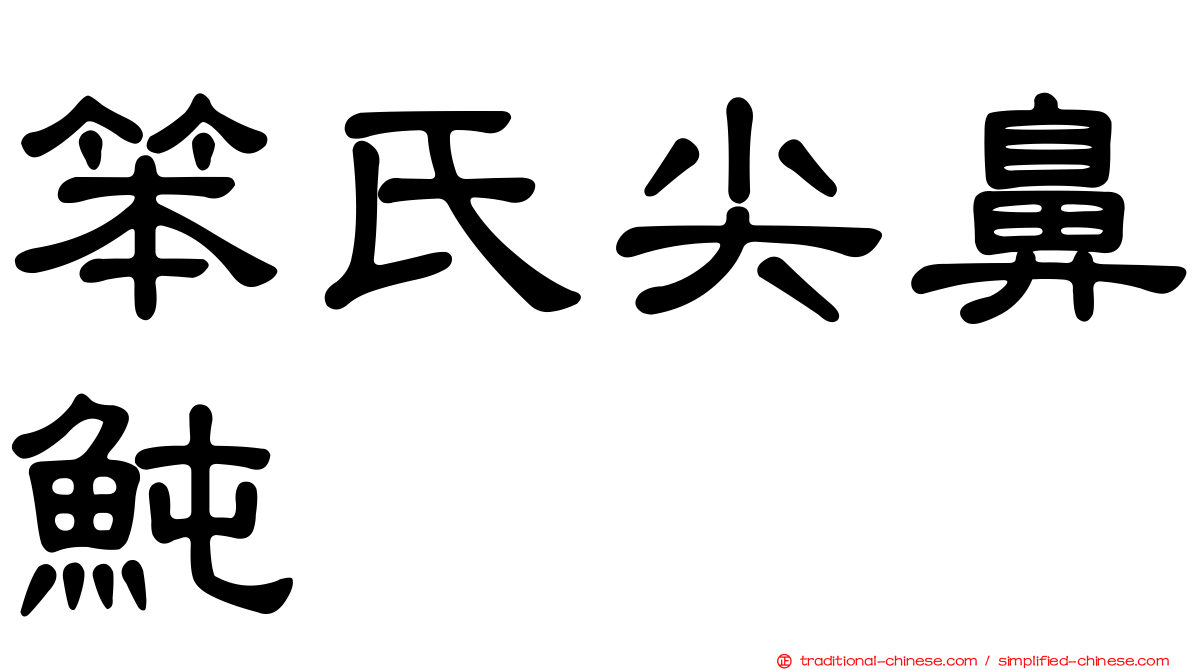 笨氏尖鼻魨