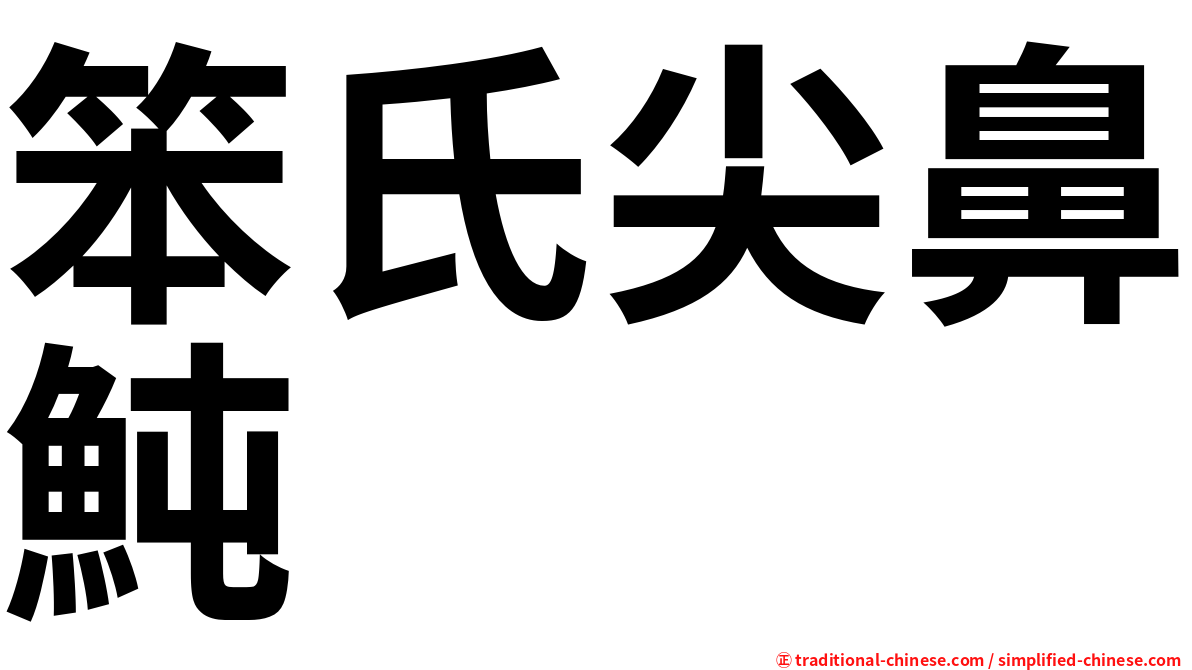 笨氏尖鼻魨