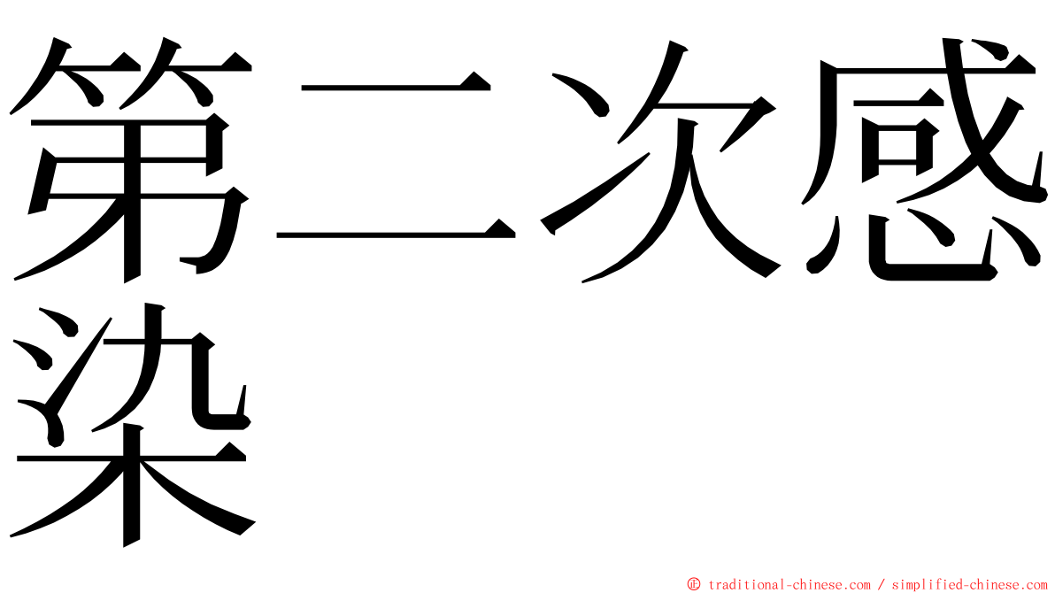 第二次感染 ming font