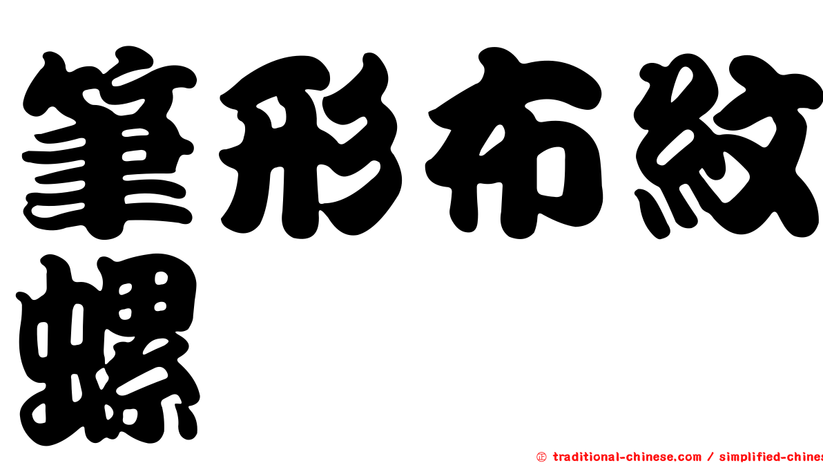 筆形布紋螺