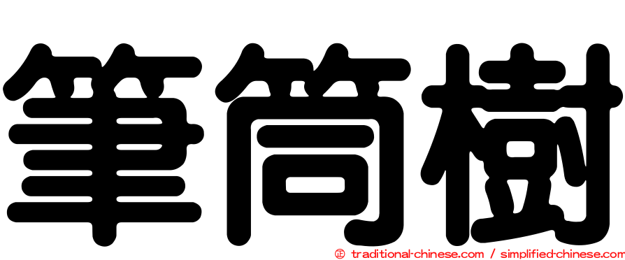 筆筒樹