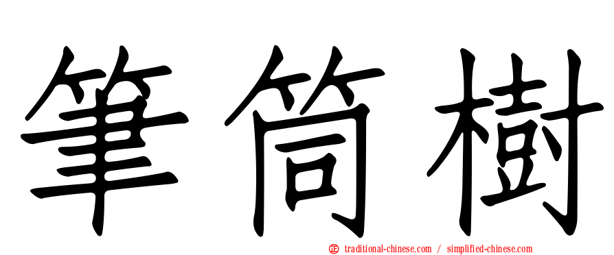 筆筒樹
