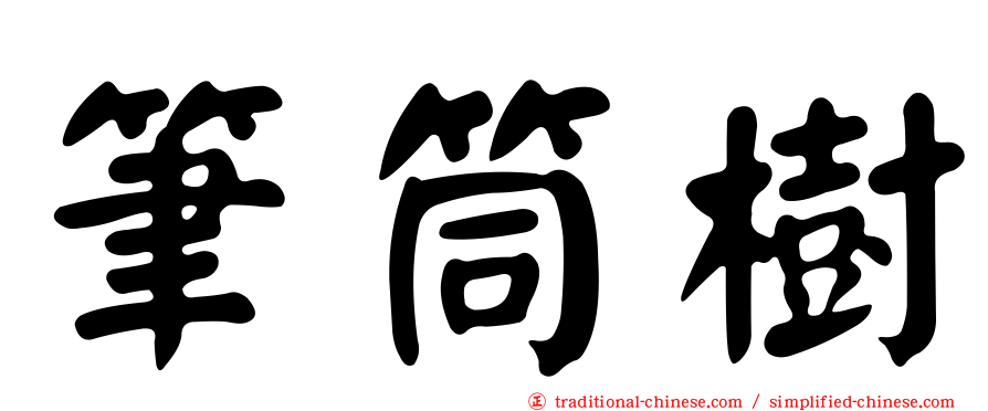 筆筒樹