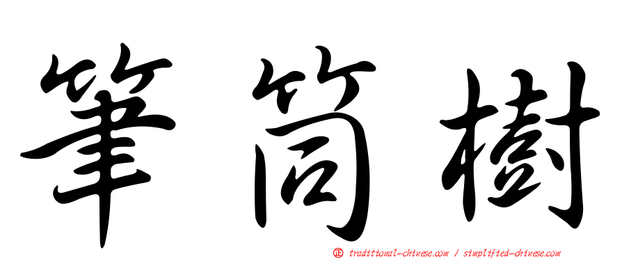 筆筒樹