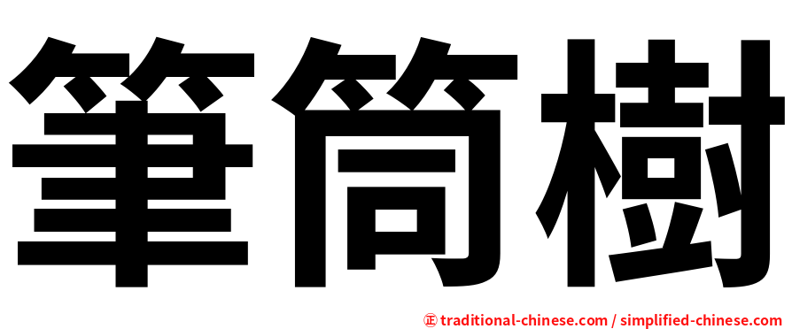 筆筒樹
