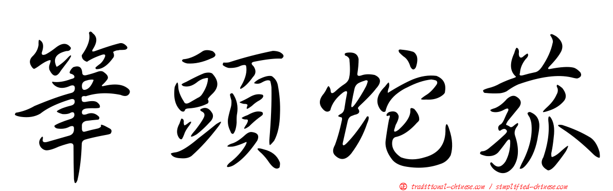 筆頭蛇菰
