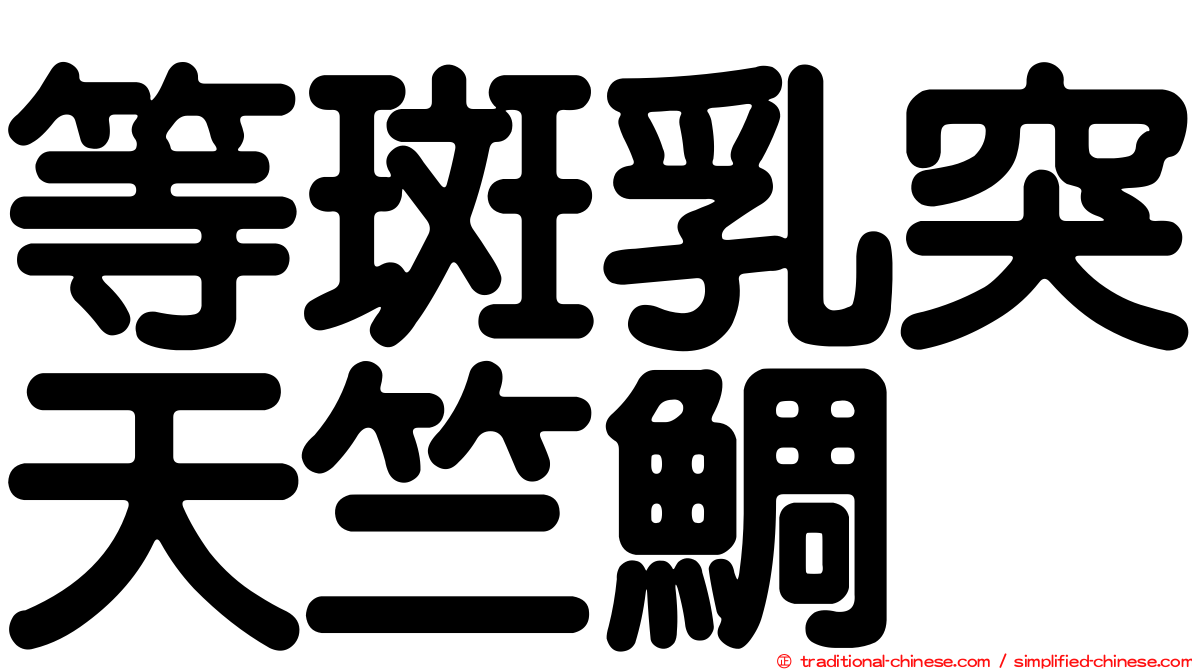 等斑乳突天竺鯛