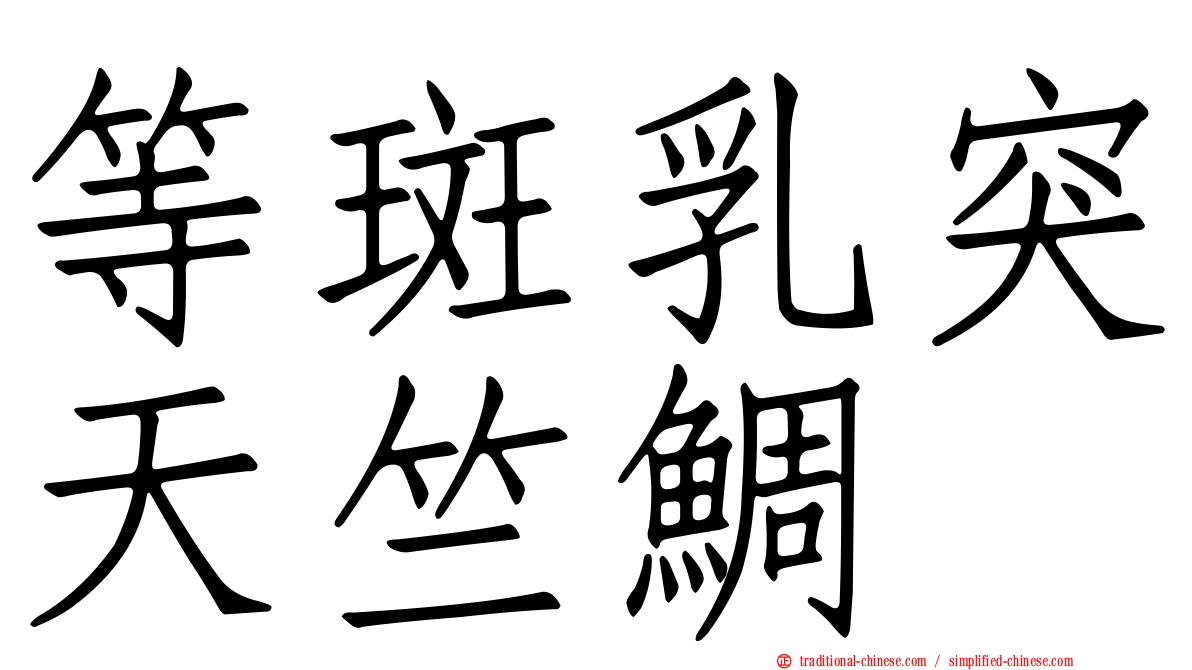 等斑乳突天竺鯛