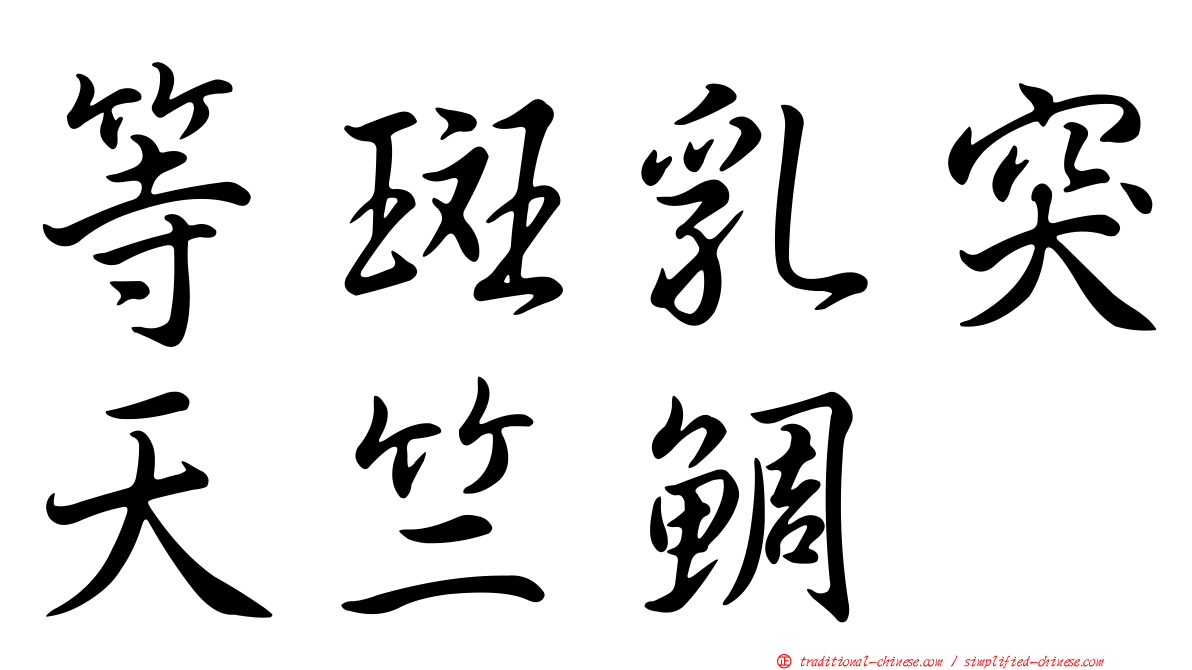 等斑乳突天竺鯛