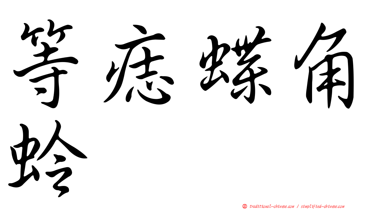 等痣蝶角蛉