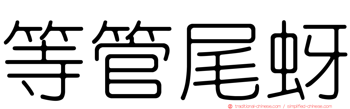 等管尾蚜