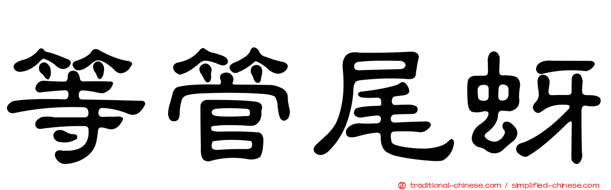 等管尾蚜
