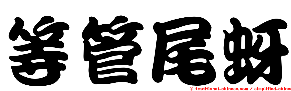 等管尾蚜
