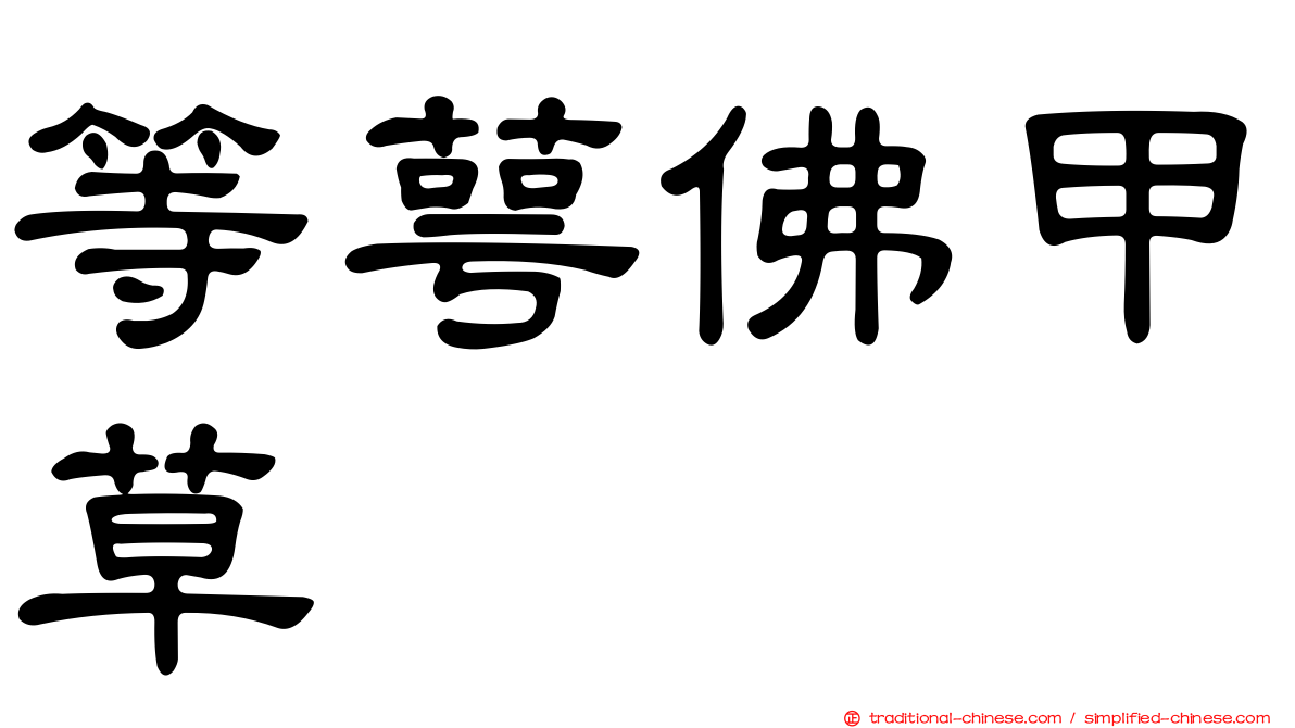 等萼佛甲草