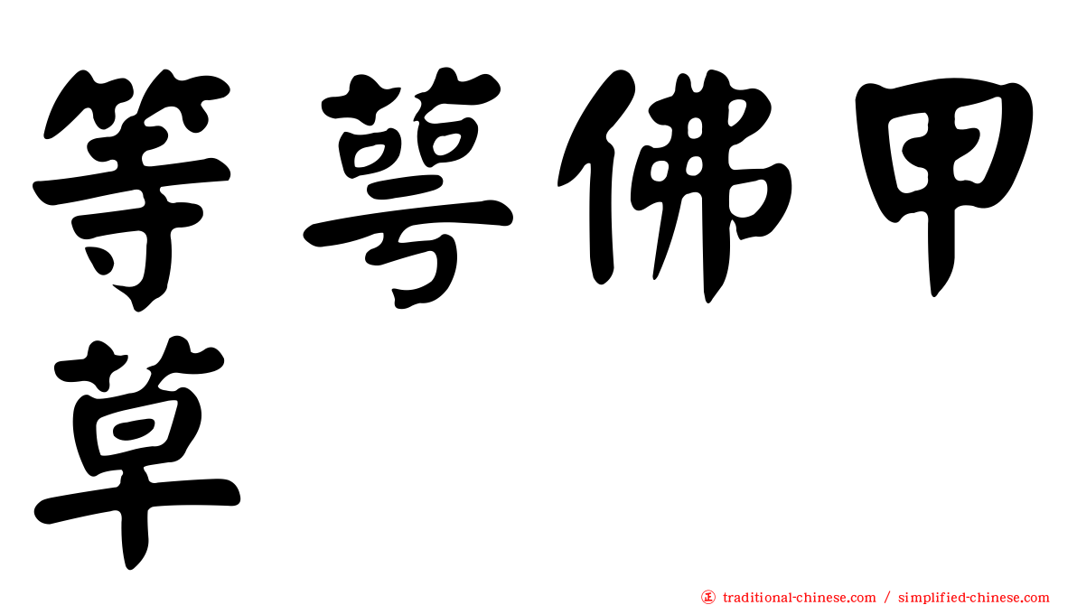 等萼佛甲草