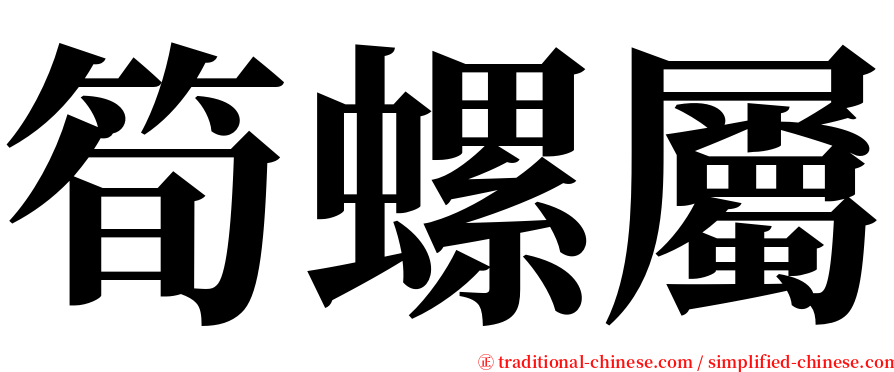 筍螺屬 serif font