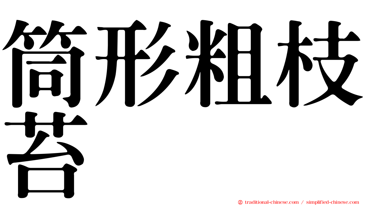 筒形粗枝苔