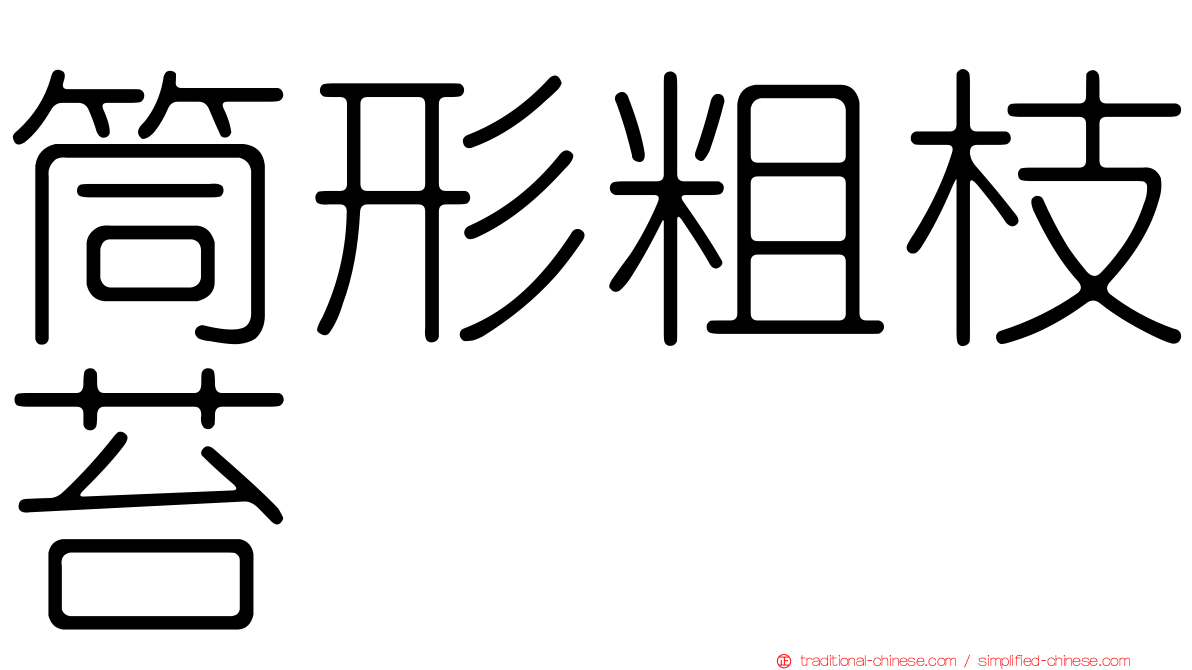筒形粗枝苔