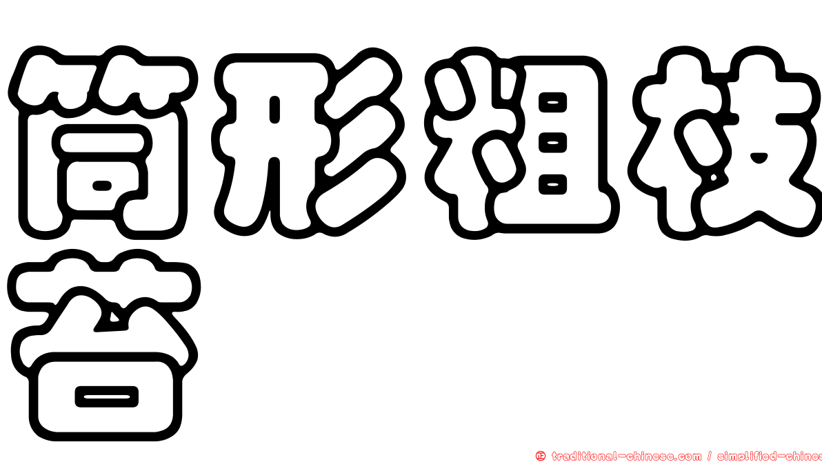 筒形粗枝苔