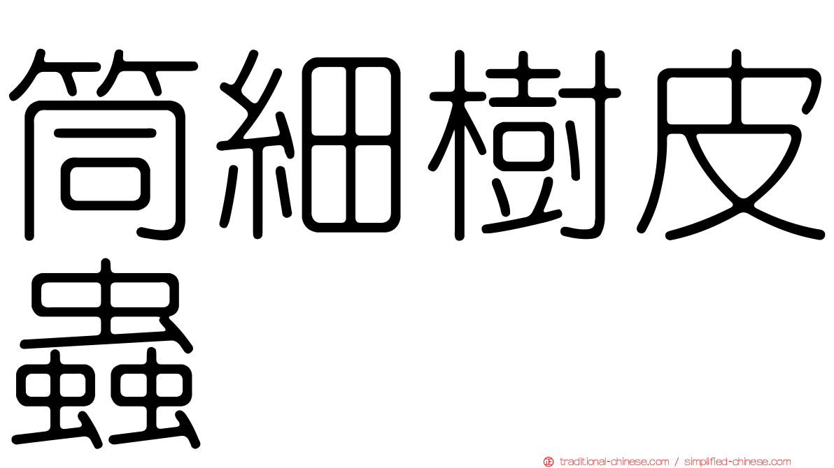 筒細樹皮蟲