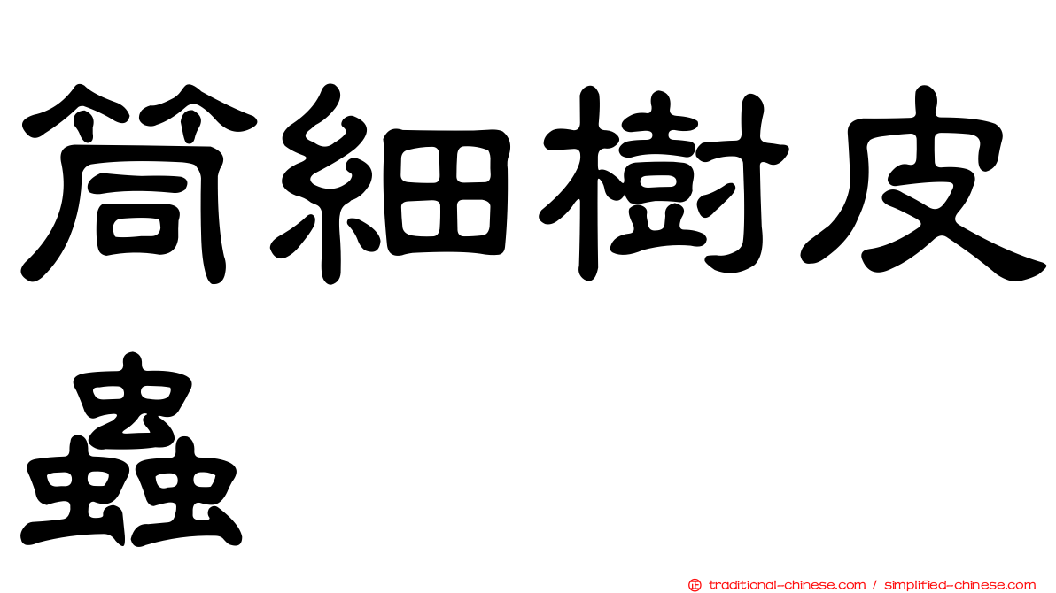 筒細樹皮蟲
