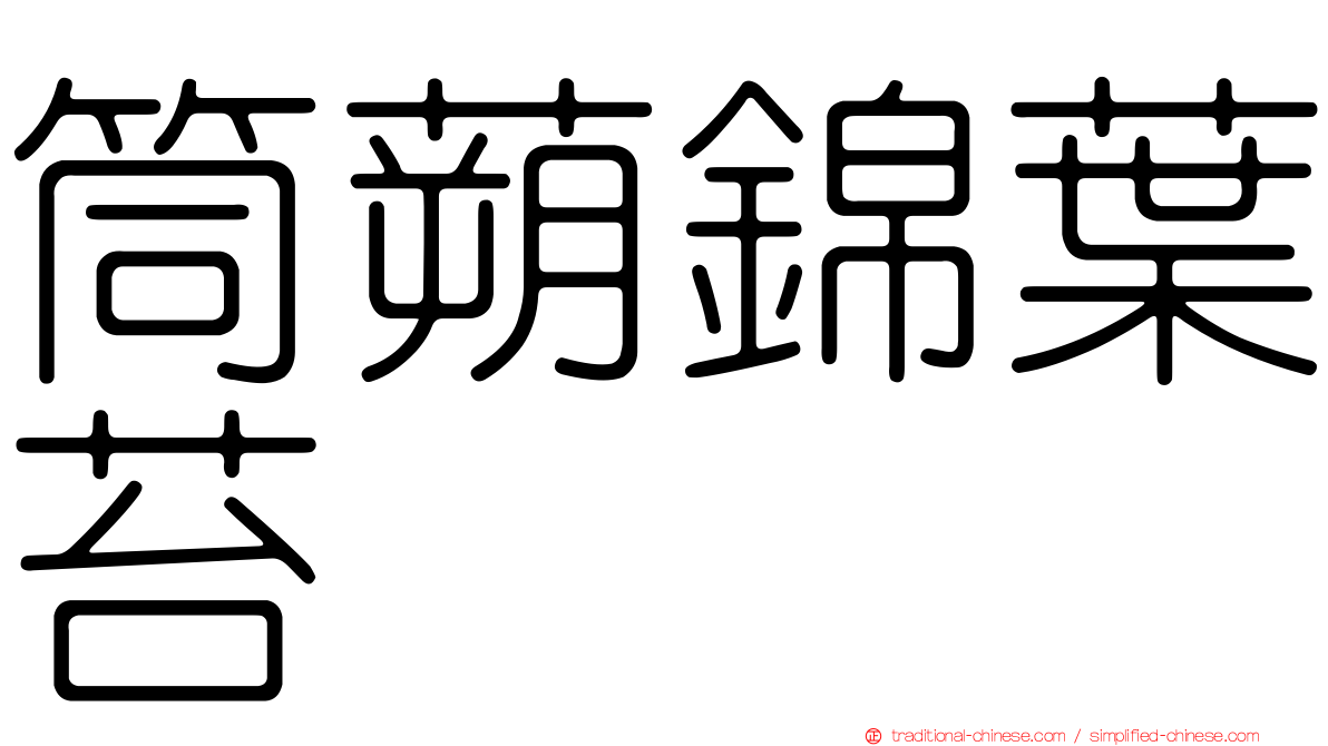筒蒴錦葉苔