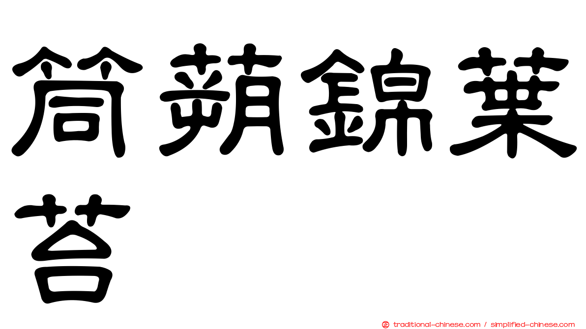 筒蒴錦葉苔