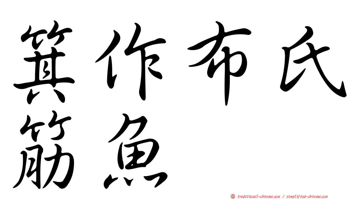 箕作布氏筋魚