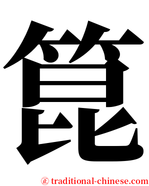 箟 serif font