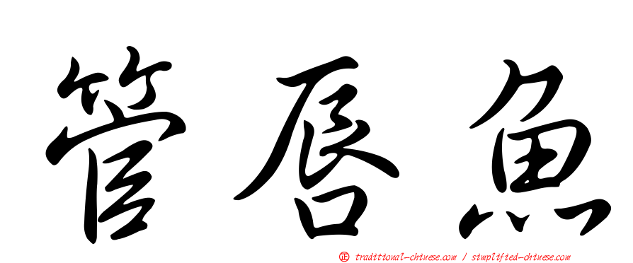 管唇魚