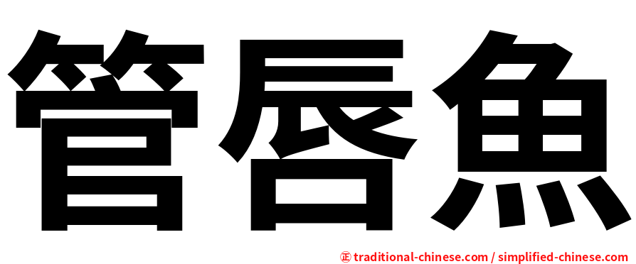 管唇魚
