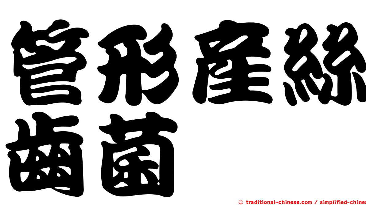 管形產絲齒菌